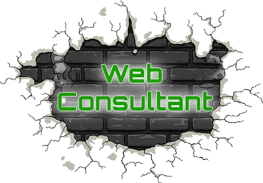 Web Consultant Services